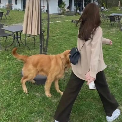 晚上好，我们是朝山家。